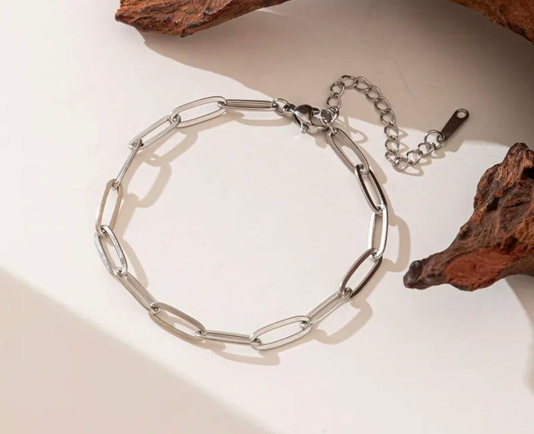 569-StainlesBracelet